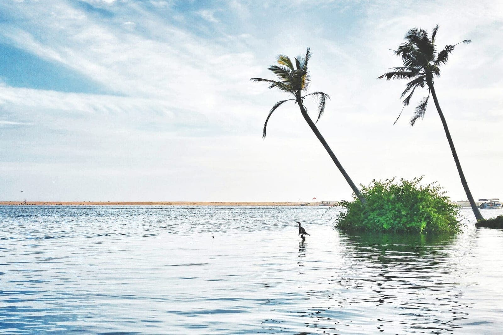 Poovar