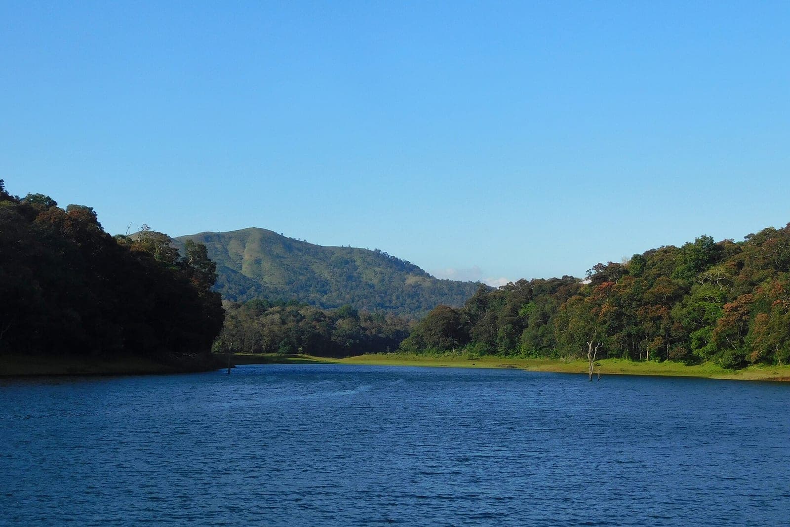 Thekkady