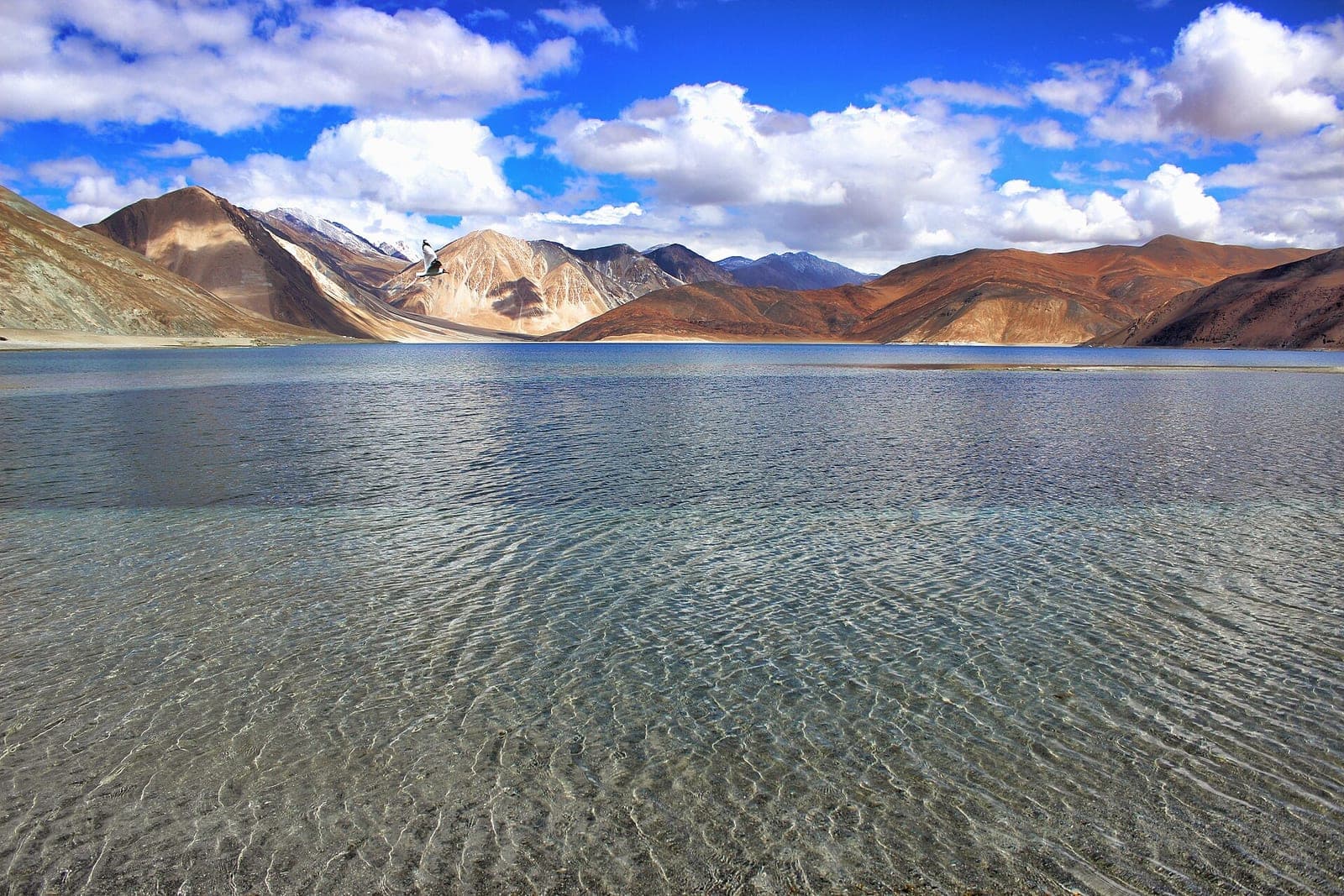 Pangong Tso lake at 14,000 ft in Ladakh