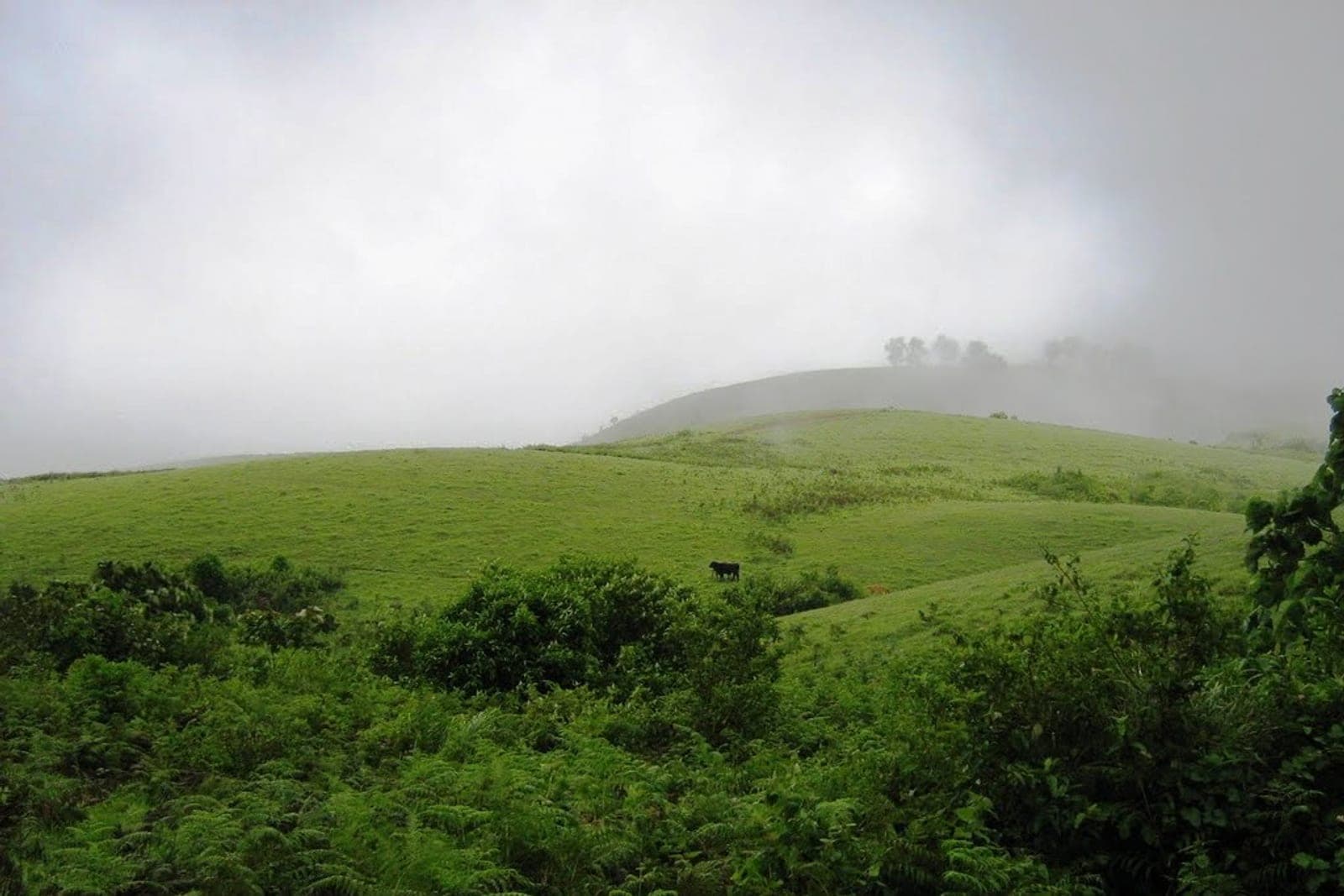 Vagamon