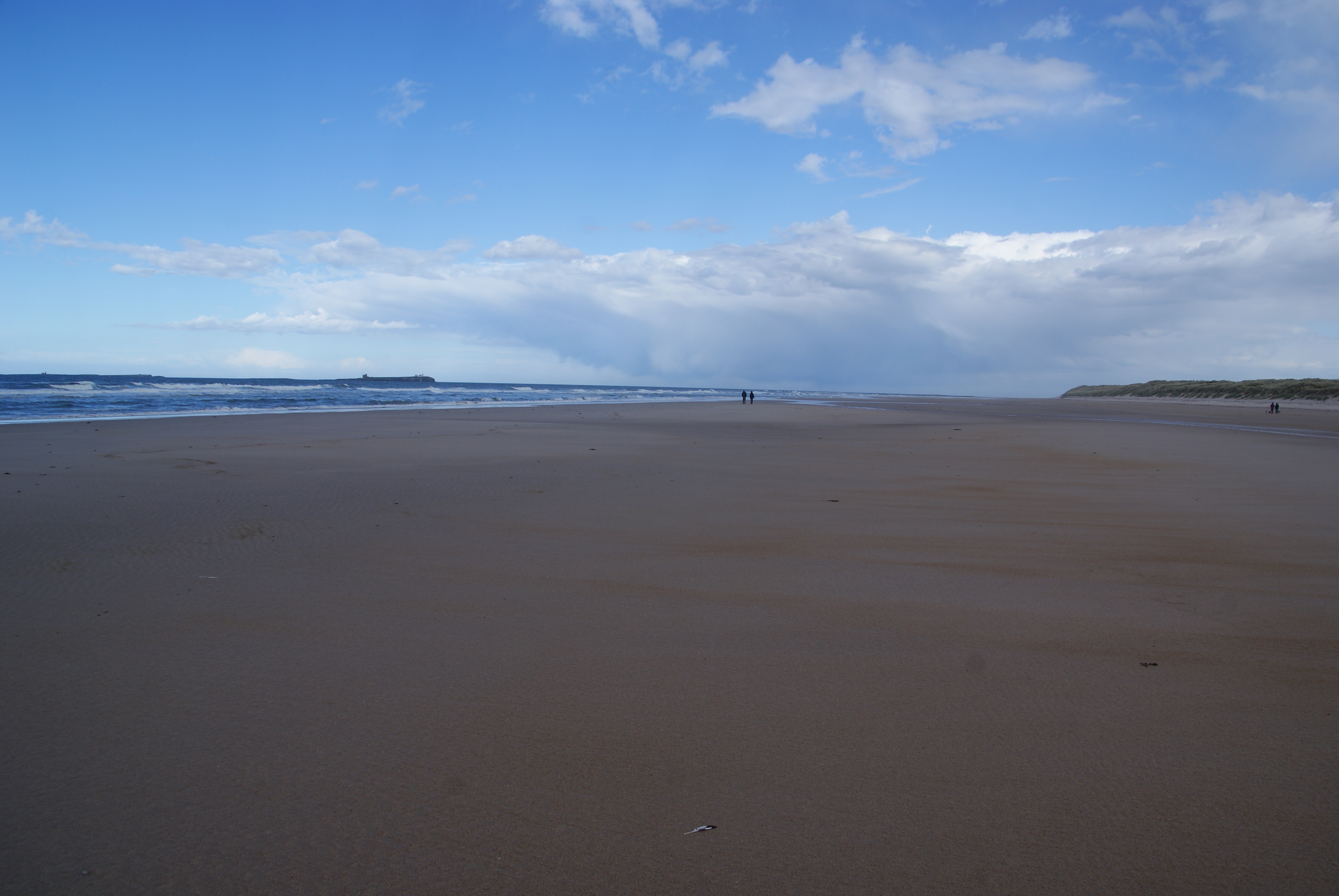 Why a Coach Tour Beats Driving Yourself: A Northumbrian Perspective